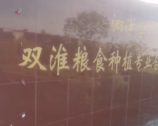 宿迁市泗洪双淮专业合作社