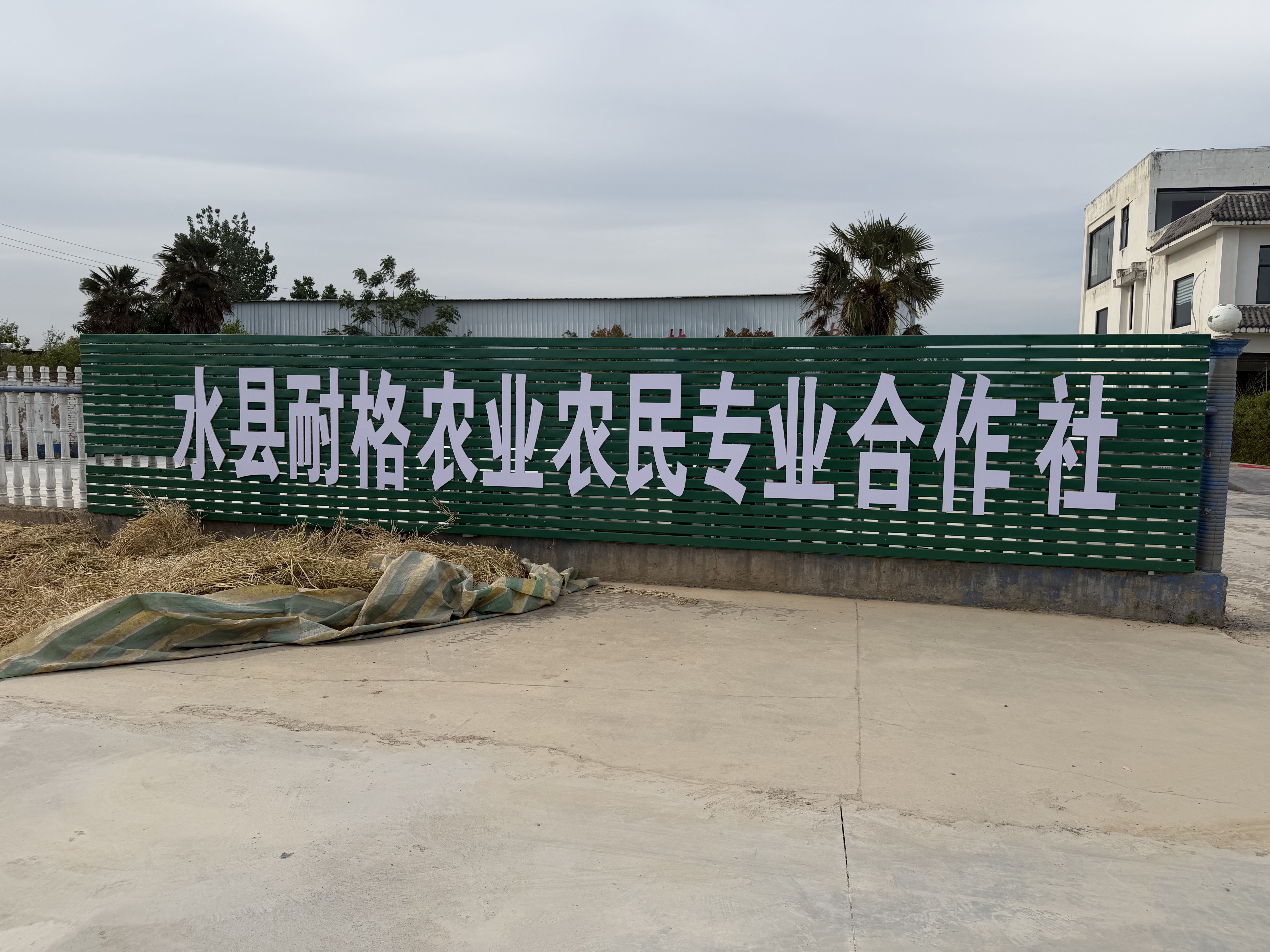 河南省周口市商水县艾营琦诺农业有限公司