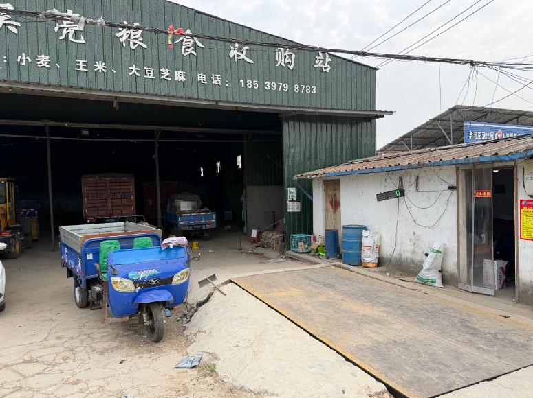河南省周口市沈丘县李老庄乡吴亮收粮点